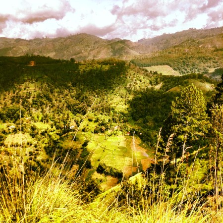 Les hauteurs de Ella , sri lanka