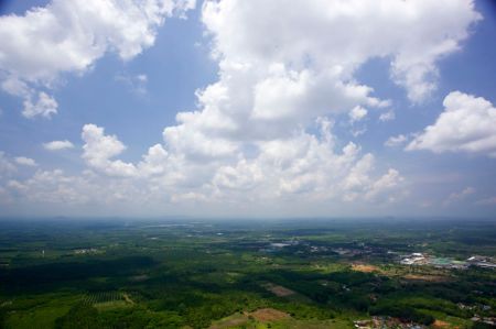 vue du sommet du temple du tigre