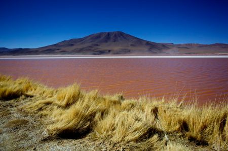 laguna colorada