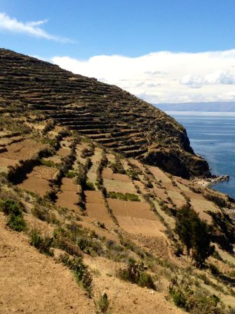 culture en terrasse à la isla del sol